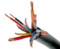 12 Core Automotive Cable